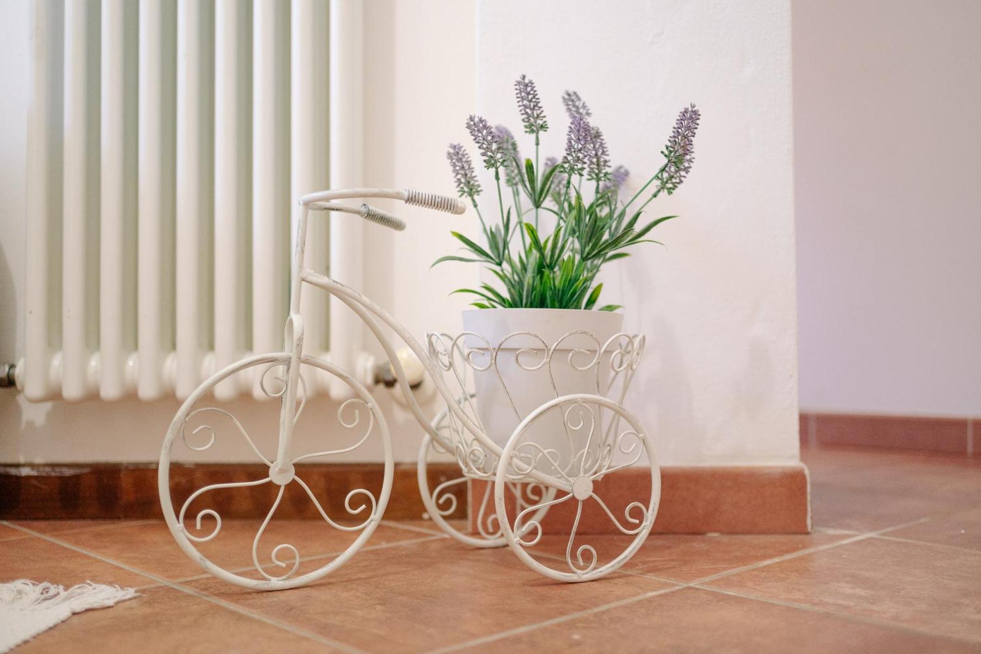Ema'S Guest House Lucca Exterior foto